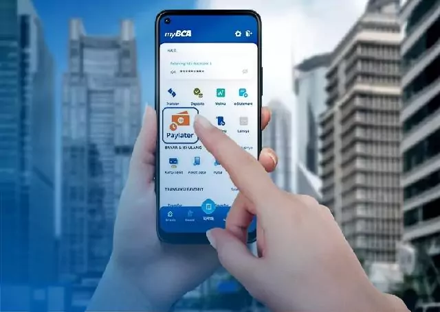 Penyebab Pay Later BCA Tidak Bisa Digunakan