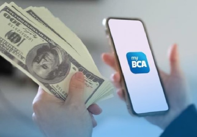 Cara Belanja Online Pakai Paylater BCA