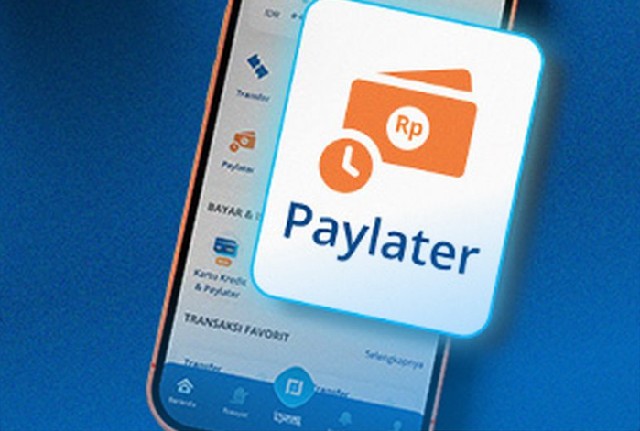 Kenapa PayLater BCA Tidak Bisa Digunakan