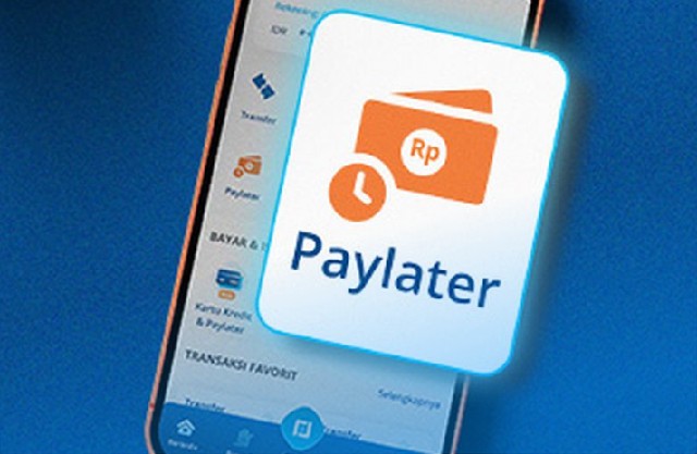 PayLater BCA Tidak Bisa Digunakan
