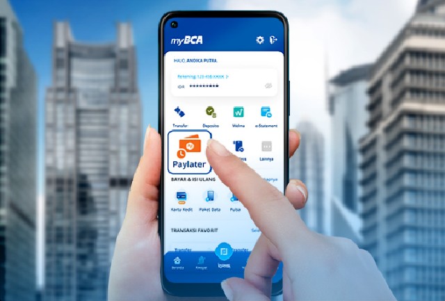 PayLater BCA Tidak Bisa Digunakan