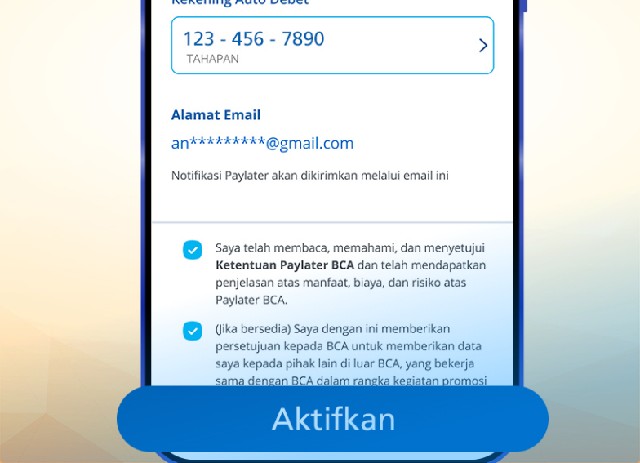 Paylater BCA Bisa Digunakan untuk Apa Saja