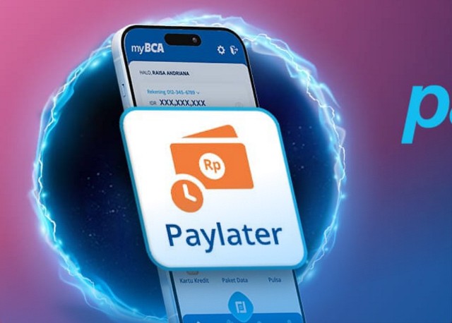 Paylater BCA Ditolak