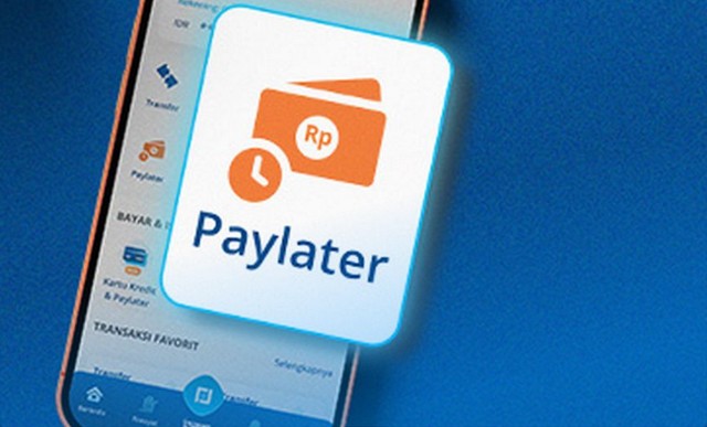 Paylater BCA Ditolak