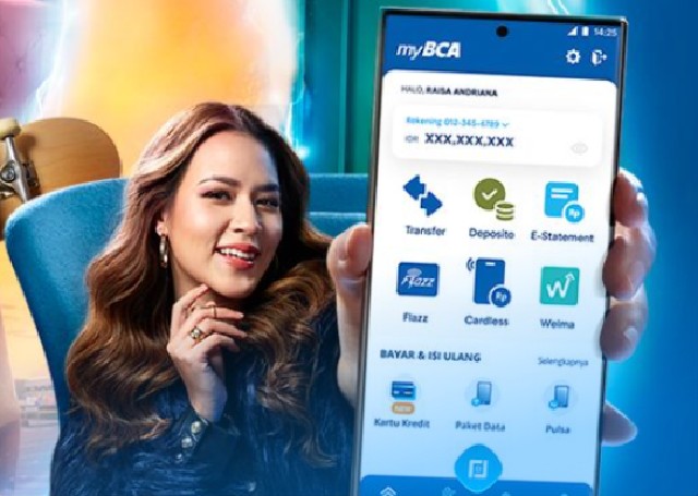 Paylater BCA Terblokir