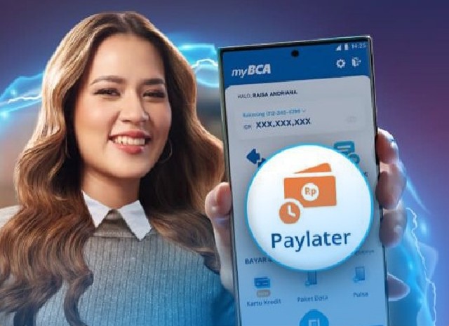 Paylater BCA Terblokir