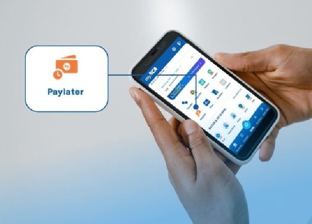 Paylater Bca Minimal Umur Berapa